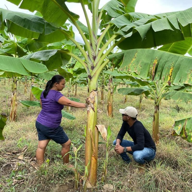 Comunidad de la región del San Jorge