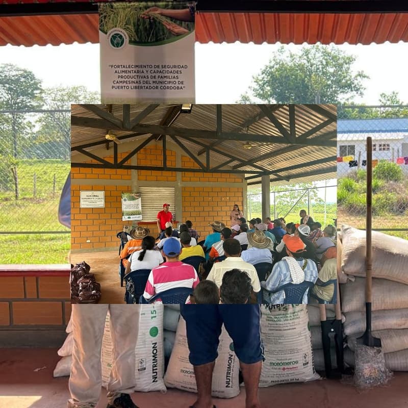 Región del San Jorge