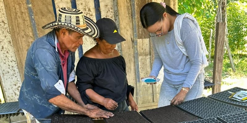 Agronegocios hortofrutícolas intensivos con pequeños productores en Sucre. - imagen 7